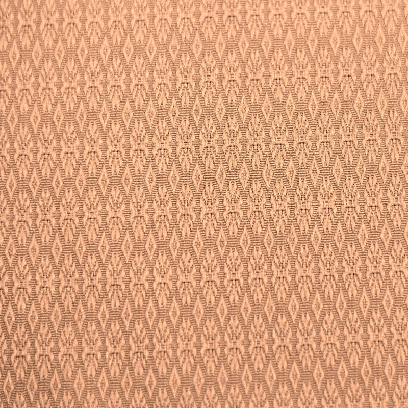 Biscuit